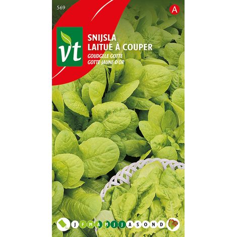 Laitue à Couper Gotte Jaune D'Or - Ca. 4 gr (Livraison Gratuite) (1/2)
