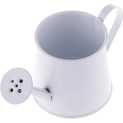 Arrosoir rustique en fer pots de fleurs blanc (1/5)