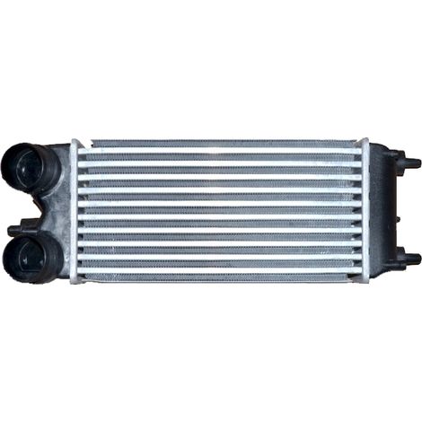 Intercooler, échangeur NRF 30274 FORD 1696574 1722903 1878624 AV219L440AA