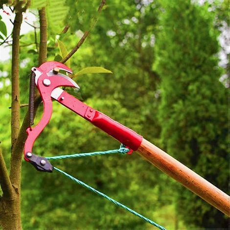 Filiyano-Sécateur, cisaille à haies, sécateur, outils et accessoires pour la taille des arbustes et des haies : cisaille à main, sécateur à lames