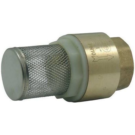 Clapet corps laiton avec crépine inox 304 1''1/2 (1/2)