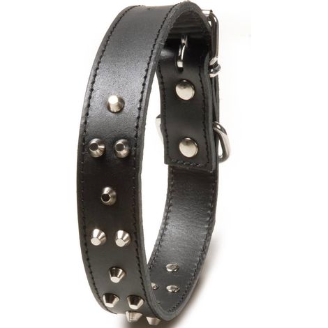 Collier 2,5 x 38,5-46 cm: Collier en cuir de veau avec clous pour chiens (1/2)