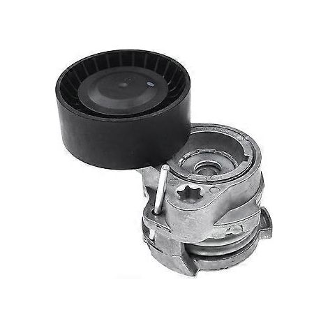 11287549873 Keilriemenspanner für 750i, 650i (2012–2018), 550i, 550i GT, xDrive, X5, X6 (1/5)