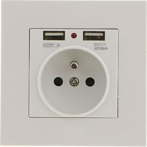 Prise murale encastrable avec USB Double USB 5V/2100mA - Charge rapide - Norme européenne - Installation facile HBCL (1/4)