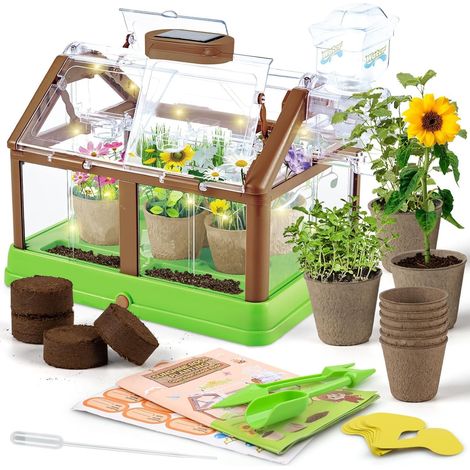 Kit de Culture de Plantes pour Enfants, Mini-Serre pour Enfants Kit de Culture de Fleurs avec Système D'irrigation Amélioré - Cadeau de Jardinage Éducatif(GRAINES ET LUMIÈRE Non INCLUSES)