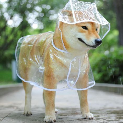 Wasserdichter Hundemantel mit transparenter Nylonkapuze - Für kleine bis mittelgroße Hunde (L, Weiß) (1/5)