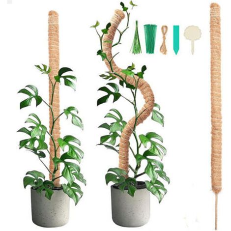 2 pièces 90CM bâton de mousse pliable avec 2 pièces de 2M de long corde de chanvre, bâton de noix de coco pour plantes, aides à l'escalade pour plantes grimpantes, support de plantes de jardin