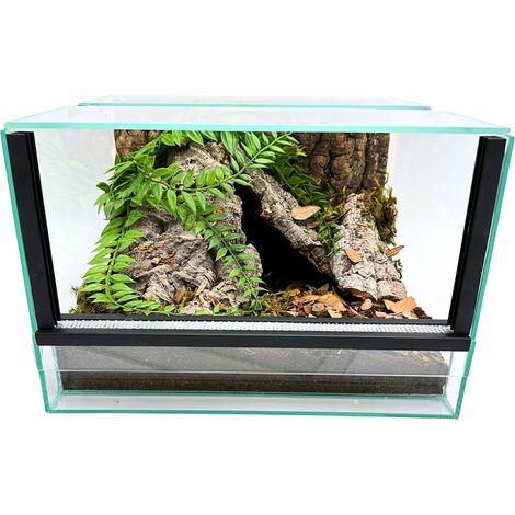 Terrarium en verre avec équipement 30 x 30 x 20 cm pour araignées terrestres