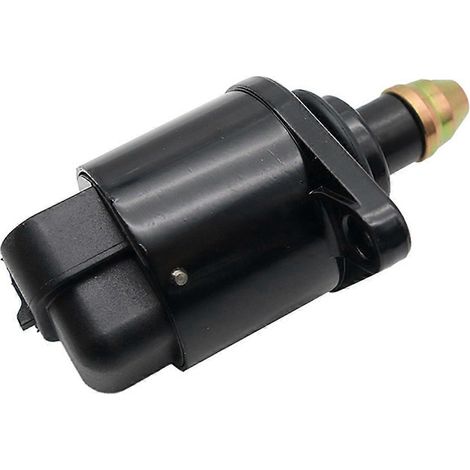 IACV pour 806 et 205 (1/5)