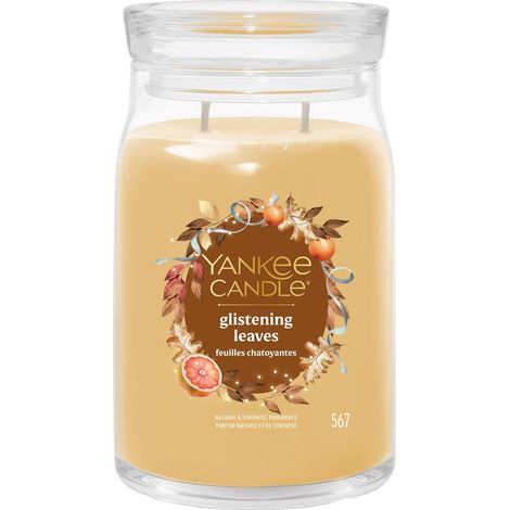 YANKEE CANDLE BOUGIE PARFUMÉE DANS UN VERRE (GRAND) - FEUILLES BRILLANTES - BOUGIE SIGNATURE « COLLECTION AUTOMNE 2025 » - DURÉE