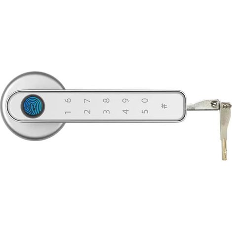 Serrure de porte intelligente Serrure de porte électronique compatible Bluetooth avec 2 clés, serrure de poignée de sécurité à empreinte digitale, entrée sans clé for chambre à coucher ( Color : Silve (1/5)