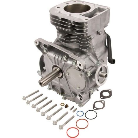 Shortblock modèle 31 vertical BRIGGS ET STRATTON 592060A (1/2)