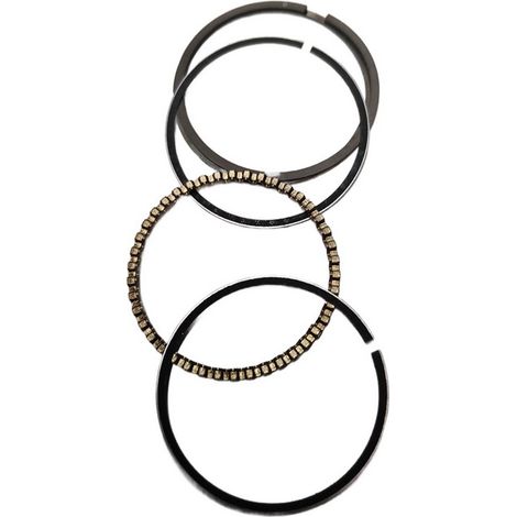 Juego Segmentoscompatible con Zs139F  Ref 976301