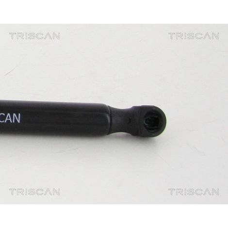 Vérin de hayon, de coffre Triscan 8710 38239 CITROËN 96 868 094 80
