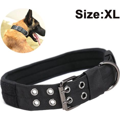 Gepolstertes Hundehalsband mit Dornschnalle, 25 mm breit, für kleine und große Hunde geeignet (XL, 51-61cm) (1/4)