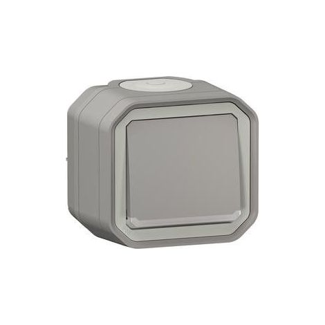 INTERRUPTEUR OU VA-ET-VIENT TÉMOIN AVEC VOYANT ÉTANCHE PLEXO 10AX 250V IP55 IK08 LIVRÉ COMPLET FIXATION SAILLIE - GRIS (1/5)