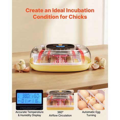 Couveuse Œuf Automatique 24 Œufs de Poule Incubateur Œuf pour Éclosion Œufs de Volaille Poussins Canetons Oies Cailles, avec Mire L… (1/5)