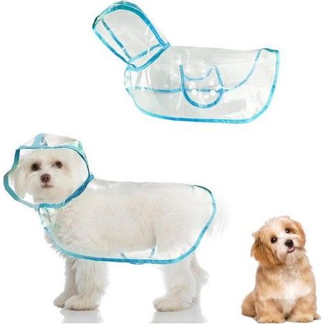 Imperméable et Coupe-Vent pour Animaux de Compagnie, pour Chien avec Capuche Transparent pour Chien Poncho, pour Chiens (Bleu,M) (1/5)