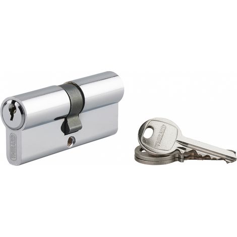 Cylindre de serrure double entrée Ecopro, 35x35mm, aluminium, anti-arrachement, 3 clés, nickel - SP (1/4)