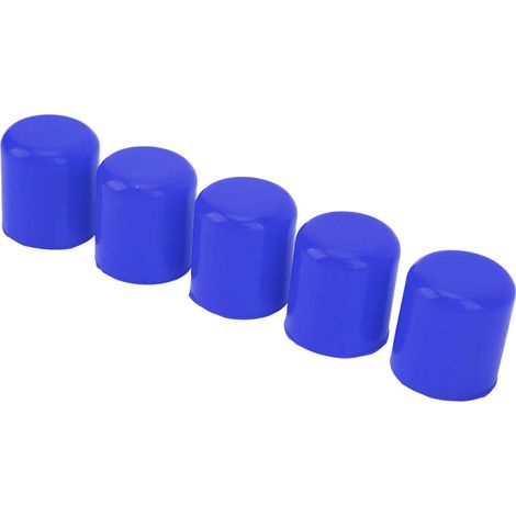 Lot de 5 bouchons extrémité tuyau silicone pour vide admission 25mm diamètre intérieur universel voiture bleu (1/5)