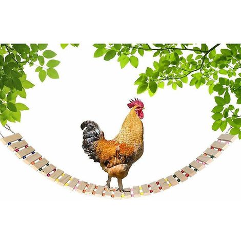 poulailler En Bois Poulailler En Bois Naturel Echelle Balanoire Poules Porte-oiseaux Volaille Coqs Poulets - Grande Taille (1/5)
