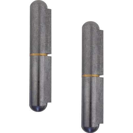 Cerniera per porta da saldare  Altezza: 120 mm  2 pezzi - Cerniere per porte e macchinari  2 cerniere metalliche da saldare per porte metalliche  Portata 200 kg