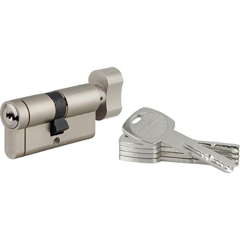 Cilindro europeo KNOB 30BTX30 TRANSIT 6P NICK (1/3)