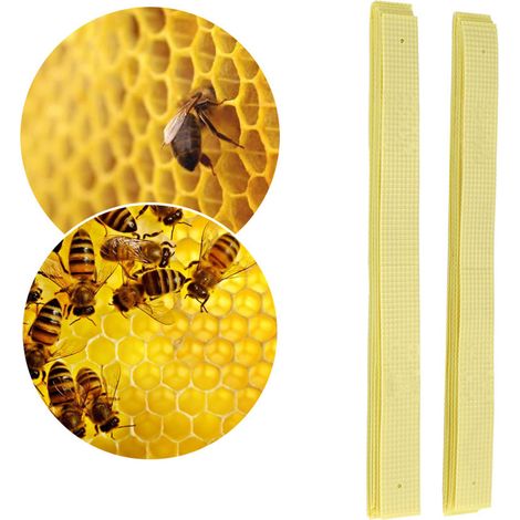 Tiras de fluvalinato para apicultura ManHao – 40 unidades, tratamiento no volátil contra el ácaro Varroa, acción por contacto y oral, para colonias de abejas de hasta 10 cuadros, envase de plástico am
