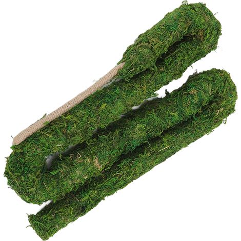 Tuteur en mousse naturelle flexible pour plantes grimpantes en pot, outil de jardinage idéal pour les plantes en pot (1/5)