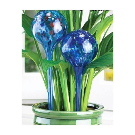 Globes d'arrosage - CELLUSTOP - Verre soufflé - Bleu - 29 cm - Arrosage automatique (1/2)