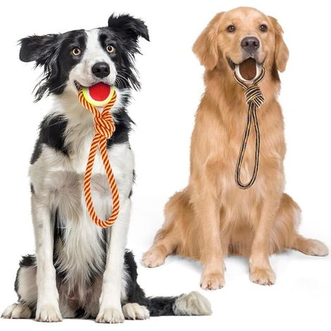 Le jouet pour chien ZVD Leash est bénéfique pour la santé mentale et dentaire de votre chien, ainsi que pour le nettoyage de ses dents. Longueur : 28 cm. (1/4)