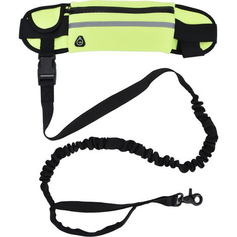 Ceinture Sportive pour Chien avec Laisse Réfléchissante et Élastique Anti-Explosion - Idéale pour Course à Pied et Marche - Vert Prairie (1/5)