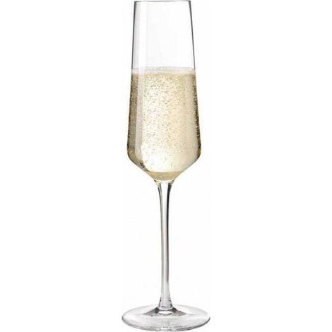 Leonardo Puccini Flûtes à Champagne Transparent 280 ml Set 6