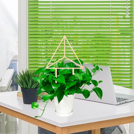 Support pour plante grimpante à structure fixe, support pour rosiers de Chine, poteau de support pour plantes d'intérieur