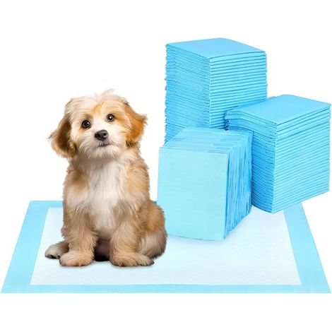 Dog Mat, Pet Training Mat, Dog Pee Mat, Puppies, Small Animals (1/3)