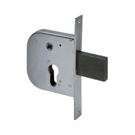 SERRATURA CANCELLO INFILARE 42312 CISA - B.Q ZINC F.MM 22 F.SAGOM M1+SCR+Q8 E.MM 50- 2 pezzi