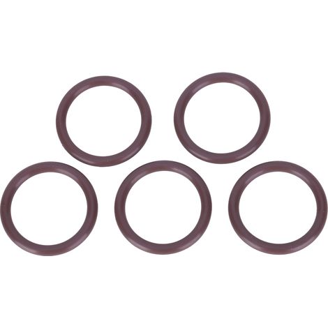5PCS Joint torique FKM90 Marron Importé pour Bouteille de Plongée AS-050, Pièce de Rechange et Accessoire d'Entretien 24.99x3.53 (1/5)
