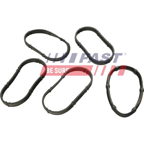 Kit guarnizioni collettore di aspirazione rapido FT49456 (1/2)