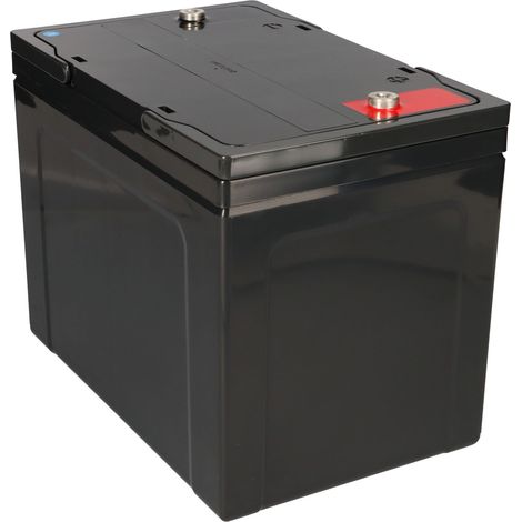Ersatzakku für Meyra Optimus 2 2 x 12V 75Ah Blei AGM Akku-Satz zyklenfest (1/5)