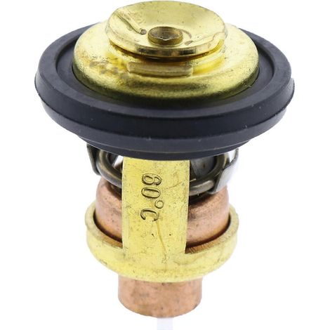 Thermostat pour moteur marin 19300-ZW9-003 19300-ZY3-023 19300ZY3023 19300ZW9003 - Compatible avec les modèles 8, 9,9 et 15 - 2 (1/5)