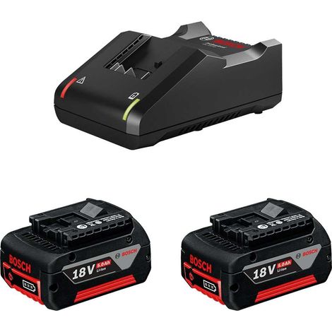 Power Set BOSCH (2 x 18V 5,0 Ah + GAL18V-40) (1/3)