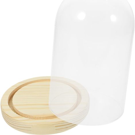 Pédestal Transparent Verre avec Couvercle pour Fleurs Séchées Et Figurines Vitrine Décorative Verre Anti-poussière (1/5)
