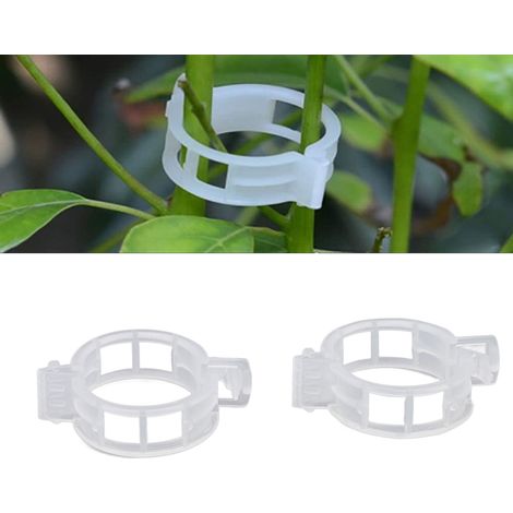 300 clips de fixation pour plantes, clips pour tiges, supports pour tomates, attaches pour tiges de plantes grimpantes, fixations pour légumes, outils de greffage (50 pièces/paquet) (1/5)