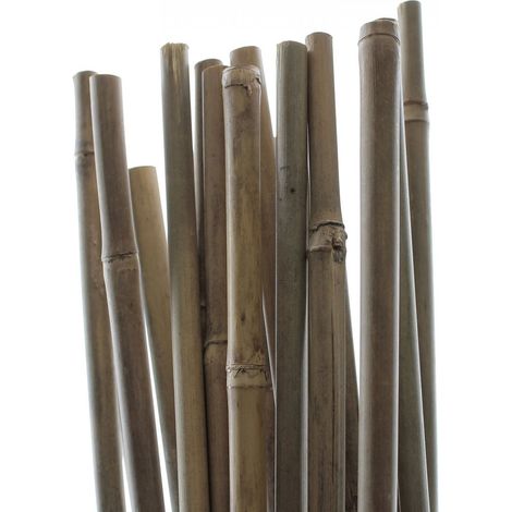 Tuteurs Bambou 150 cm - Pack de 25 pcs (1/3)
