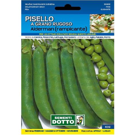SEMENTI PISELLO ALDERMAN RAMPICANTE A GRANO RUGOSO PER ORTO (1/2)