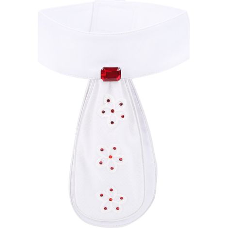 Cravate équitation pré-nouée avec broche, coton, accessoire équestre, cravate cheval, nœud papillon cavalier (1/5)