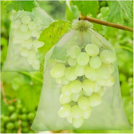 Lot 60 sacs protection fruits – 3 tailles – organza avec cordon – anti-guêpes / oiseaux / insectes (1/5)