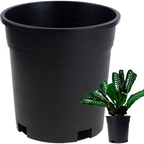 TG72940 Vaso alto per semina, formato P14, 1,5 l, rotondo, con bordo, 14x14 cm. (1/5)