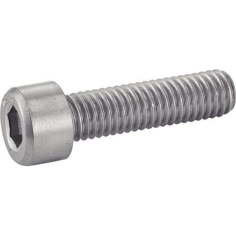 Acton DN 912 tornillo inox 4x10 mm cabeza cilíndrica
