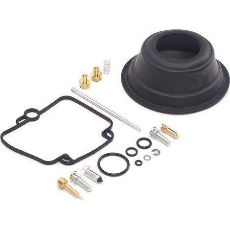 Kit de reconstruction de carburateur réparation de révision de carburateur pour moteur monocylindre Suzuki DR350 Goose350 Mikuni BST40